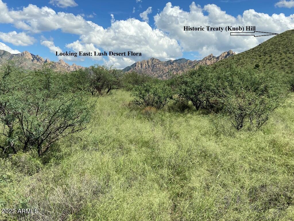 -lot82 East Badger Trail, Unit 82 St. David, AZ 85630 - Photo 7 of 21 DMR 20