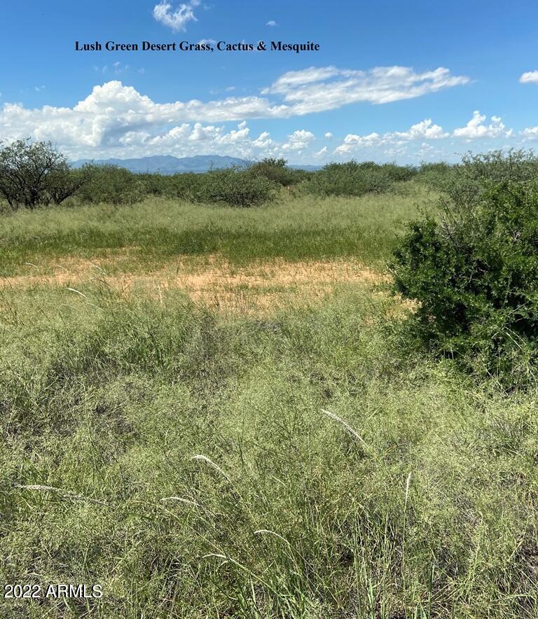 -lot82 East Badger Trail, Unit 82 St. David, AZ 85630 - Photo 10 of 21 DMR 4
