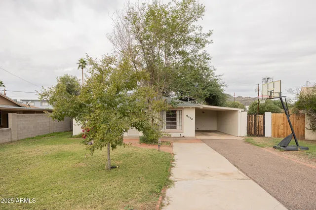 a view of a backyard