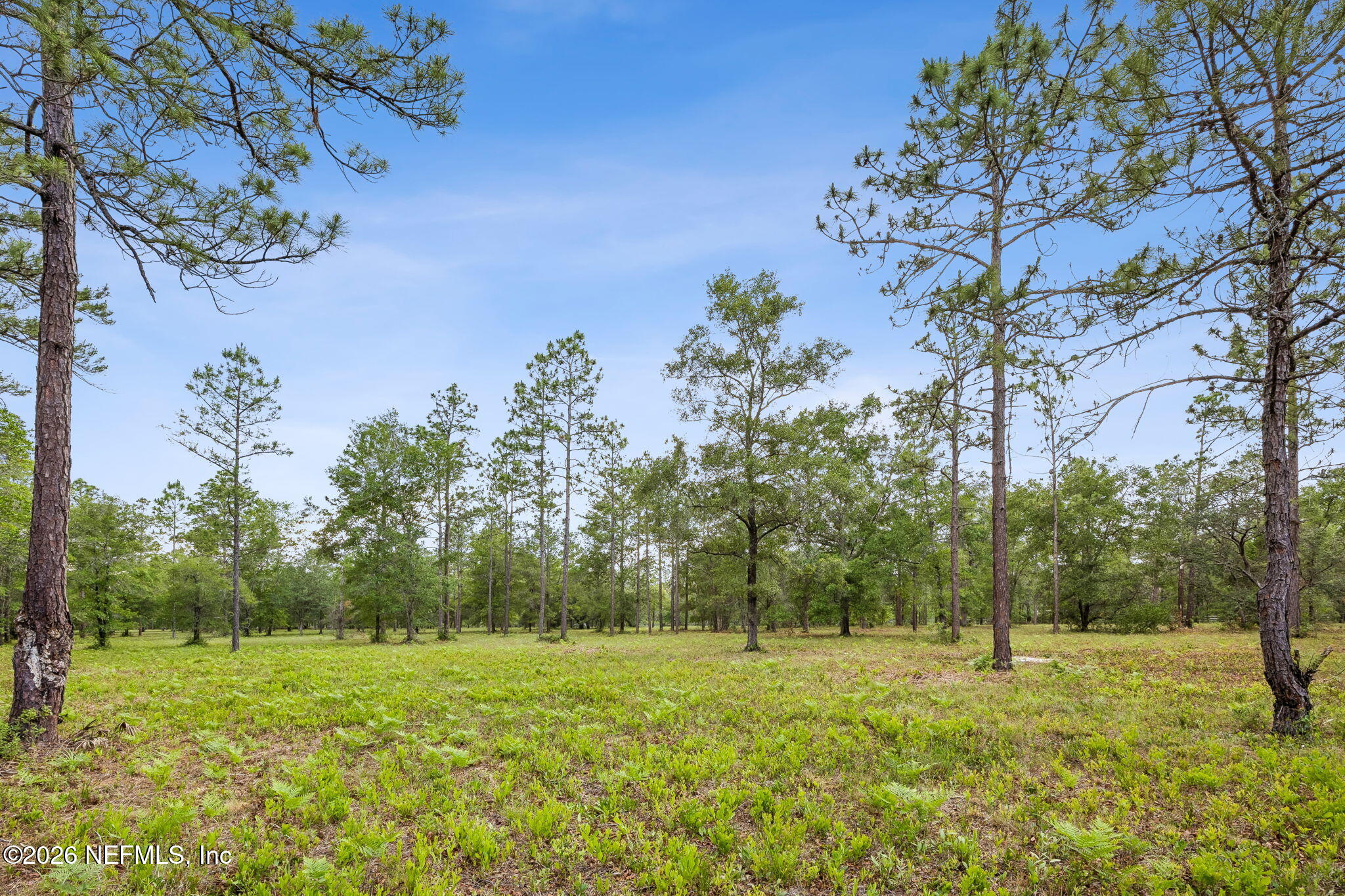 6015 Plantation Court Keystone Heights, FL 32656 - Photo 6 of 16 9-web-or-mls-6015 Plantation Ct-9