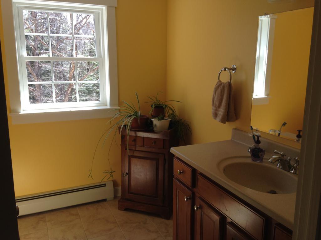 180 Lovell Heights Road Wakefield, NH 03872 - Photo 18 of 22 Gallery Image 18