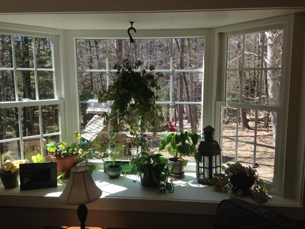 180 Lovell Heights Road Wakefield, NH 03872 - Photo 4 of 22 Gallery Image 4