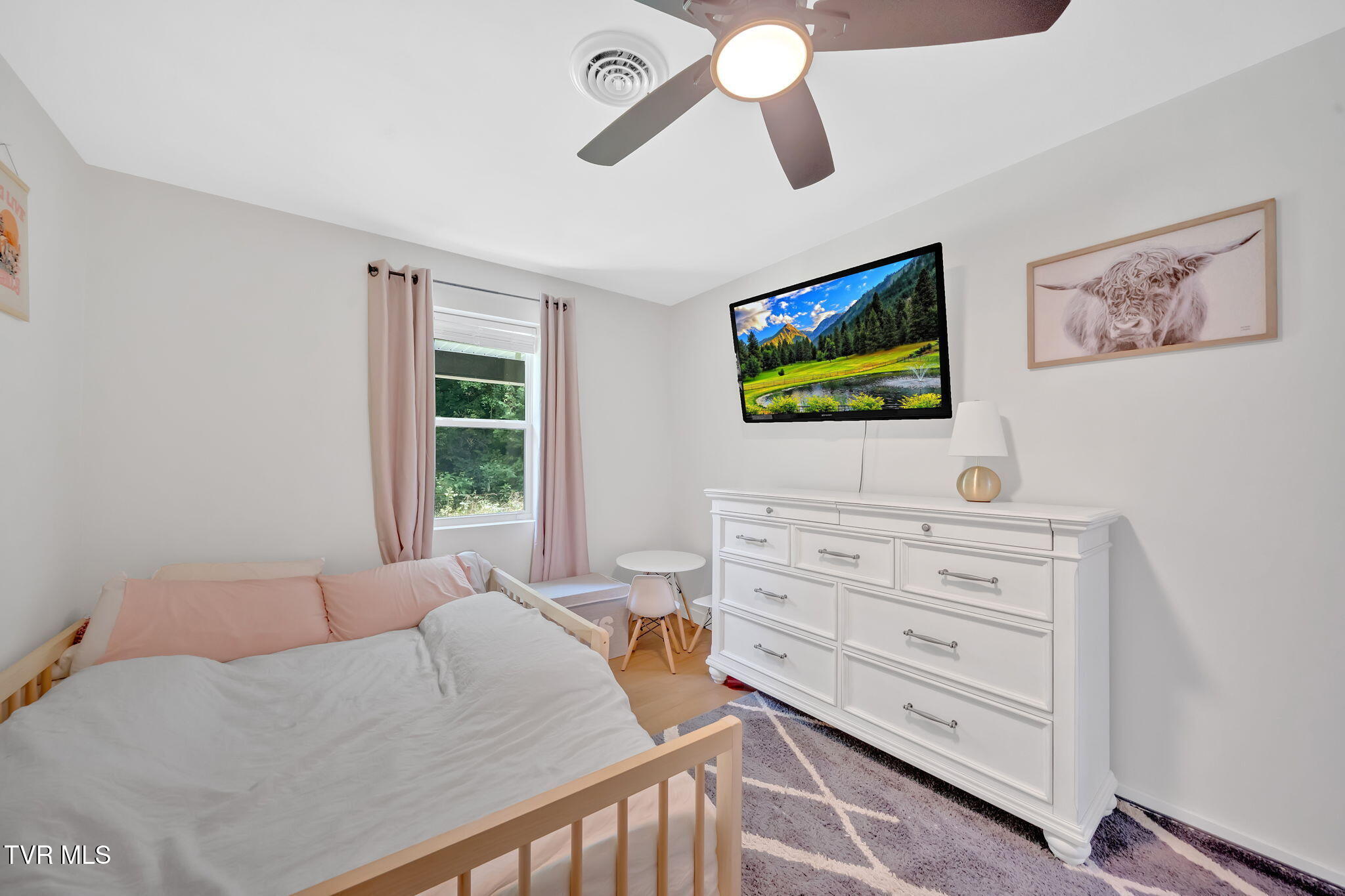 108 Canter Road Elizabethton, TN 37643 - Photo 20 of 43 25-web-or-mls-DSC05500