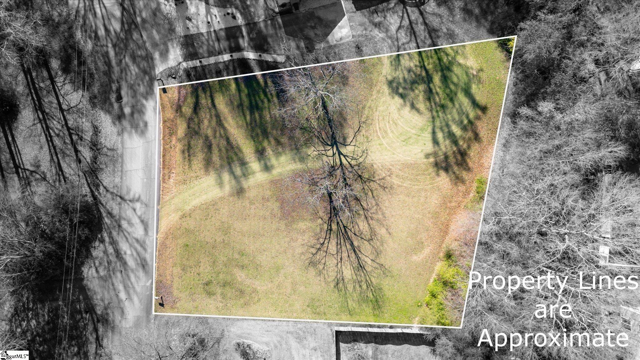 217 Walter Street Easley, SC 29642 - Photo 3 of 9