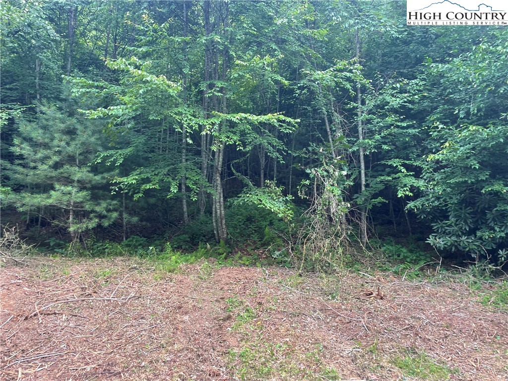 Forest Ridge Fleetwood, NC 28626 - Photo 5 of 14 a view of a yard