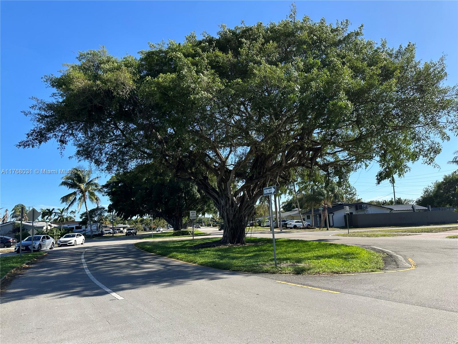2001 North 31st Road Hollywood, FL 33021 - Photo 63 of 75 a view of garden with trees