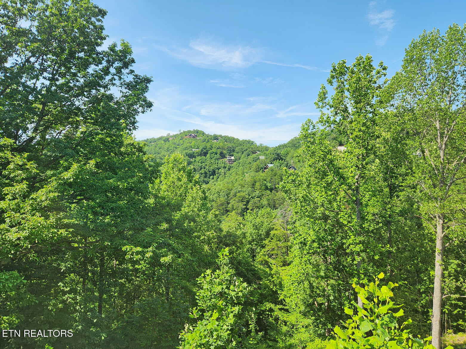 3059 Engle Town Road Sevierville, TN 37862 - Photo 2 of 27 _02