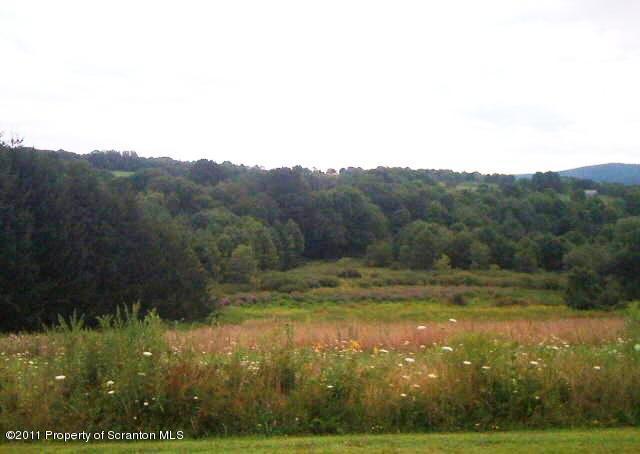 2177 Port Royal Road Clarks Summit, PA 18411 - Photo 4 of 5 Wildflowers