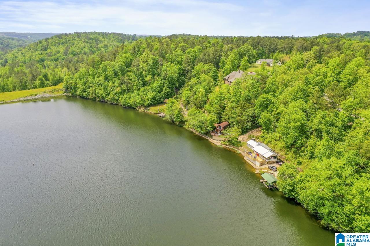285 Martin Drive Oneonta, AL 35121 - Photo 34 of 36