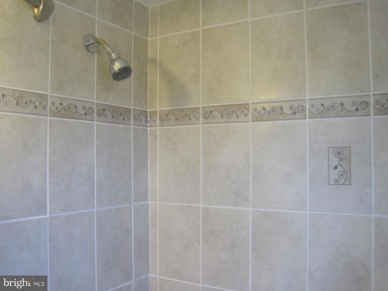6517 Red Top Road Hyattsville, MD 20783 - Photo 17 of 23 a bathroom with a shower