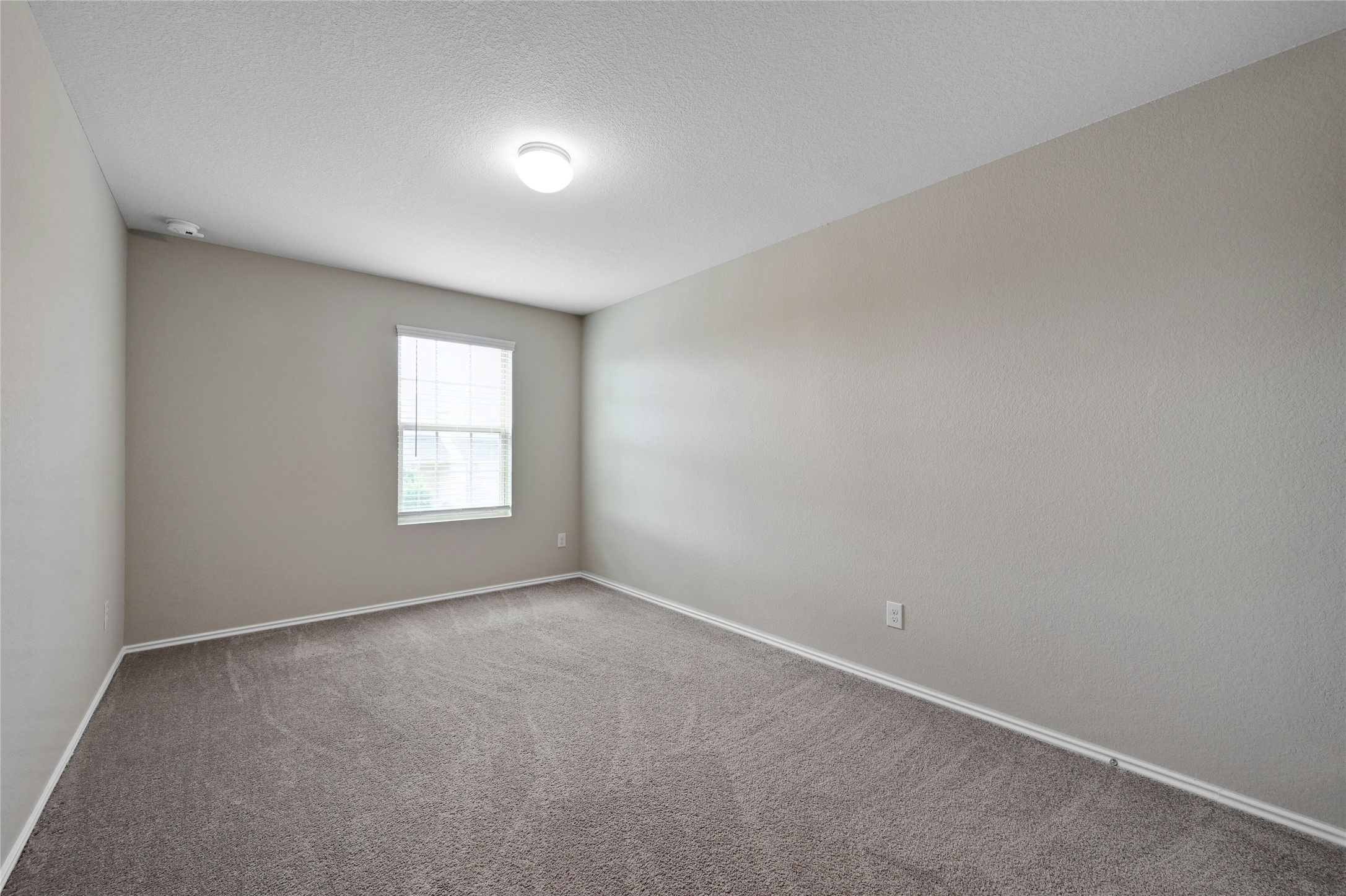 100 Comet Drive, Unit 1I Jarrell, TX 76537 - Photo 10 of 25 Room with carpet flooring and a textured ceiling