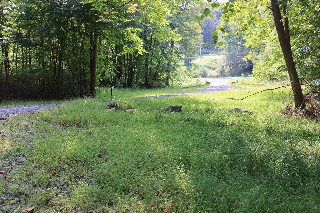 20150 Kenrock Road Dudley, PA 16634 - Photo 10 of 74 Gallery Image 10