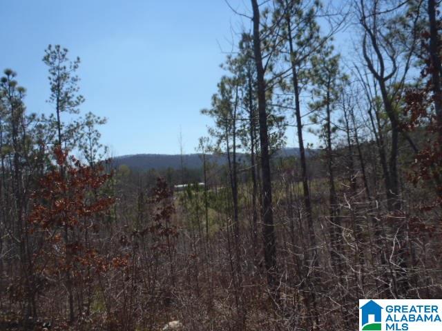 0 Shocco Springs Road, Unit 40 5 AC Talladega, AL 35160 - Photo 21 of 30