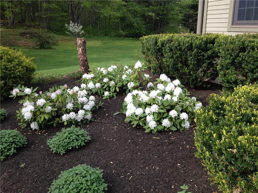 102 Ridge Road Bath, ME 04530 - Photo 4 of 35 Photo