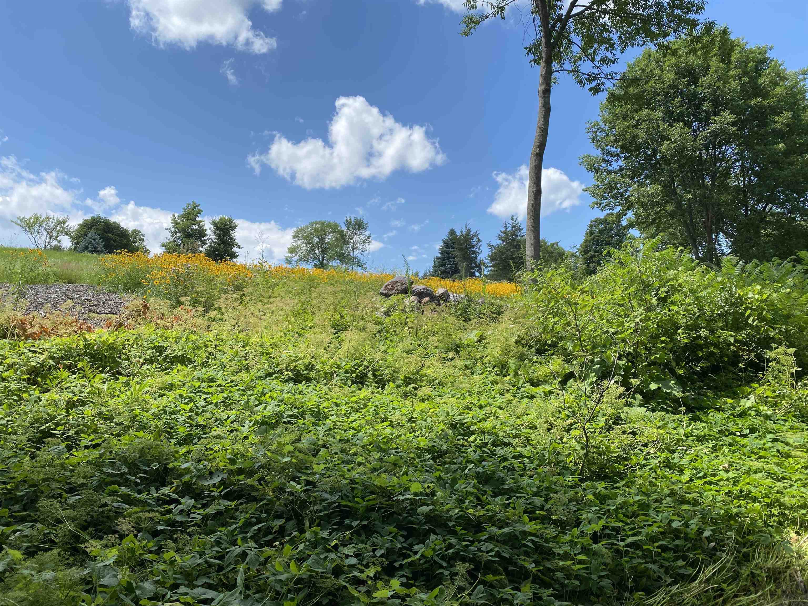 655 James Road Middlebury, VT 05753 - Photo 40 of 40