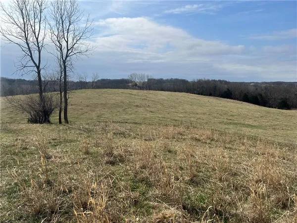 $650,000 | Petty Mill Trail, Unionville, MO 63565