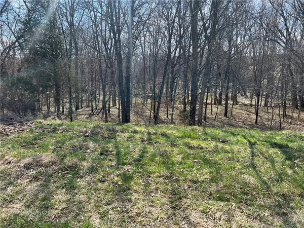 $650,000 | Petty Mill Trail, Unionville, MO 63565