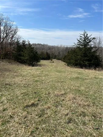 $650,000 | Petty Mill Trail, Unionville, MO 63565