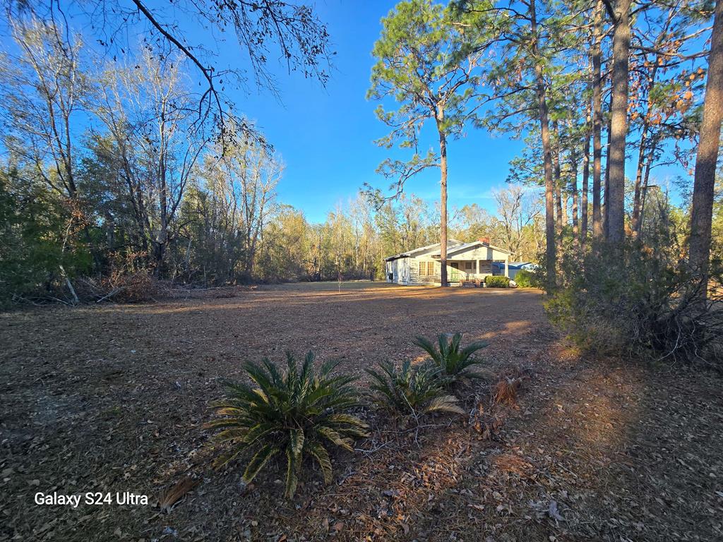 6389 Northeast Hickory Grove Road Pinetta, FL 32350 - Photo 3 of 39 Gallery Image 3