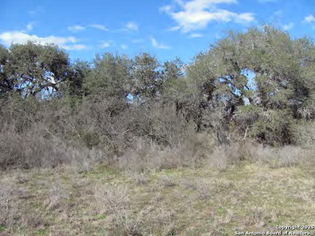 Fm 799 La Para Road Beeville, TX 78102 - Photo 1 of 1 a view of a dry yard with large trees