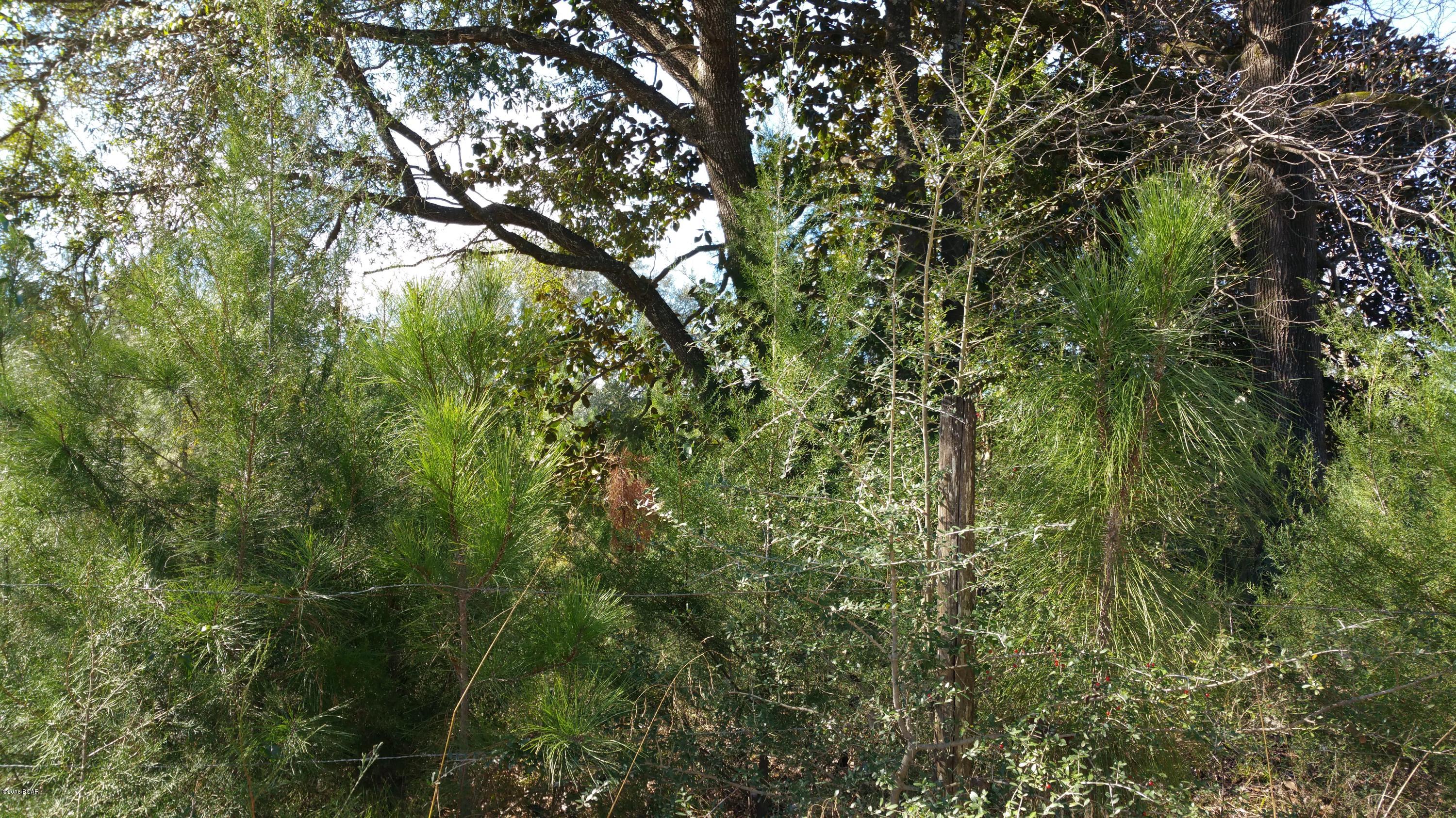 0 Davidson Road Bonifay, FL 32425 - Photo 1 of 4