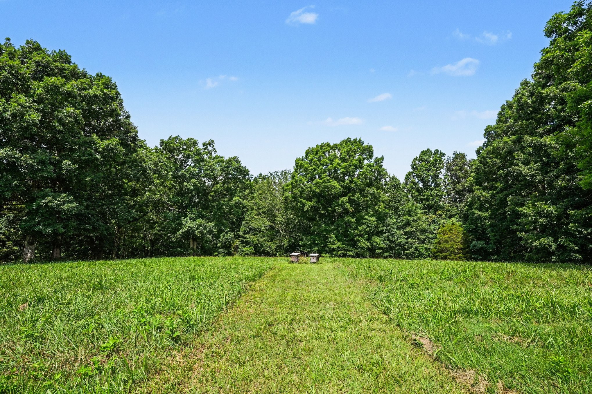 609 Stacy Road White Bluff, TN 37187 - Photo 32 of 36