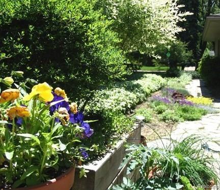 16252 Reedmere Avenue Franklin, MI 48025 - Photo 33 of 35 Gardens