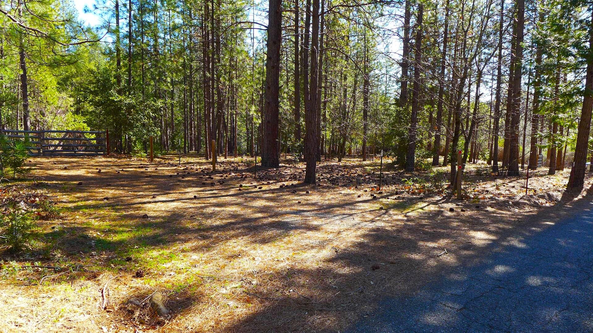 0 Fern Road Whitmore, CA 96096 - Photo 1 of 17 a view of outdoor space with trees
