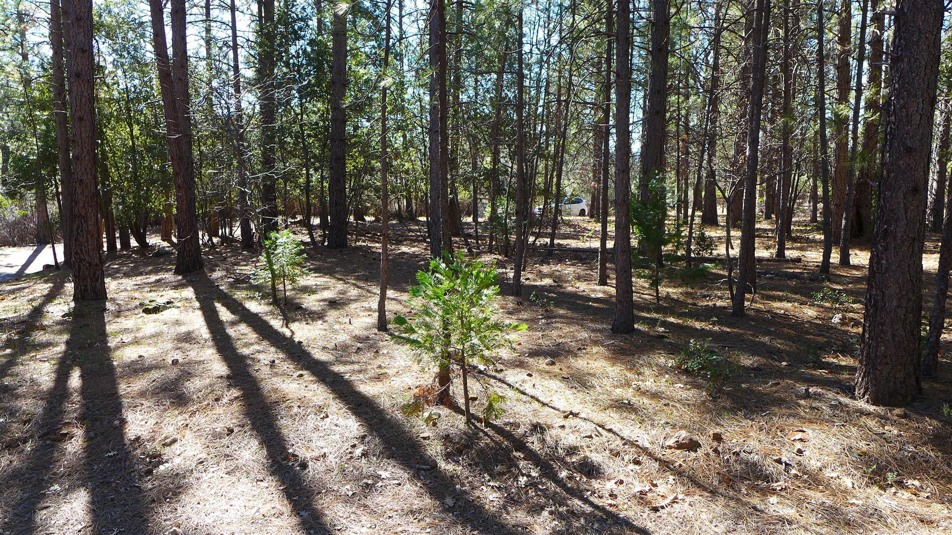 0 Fern Road Whitmore, CA 96096 - Photo 11 of 17 a view of forest