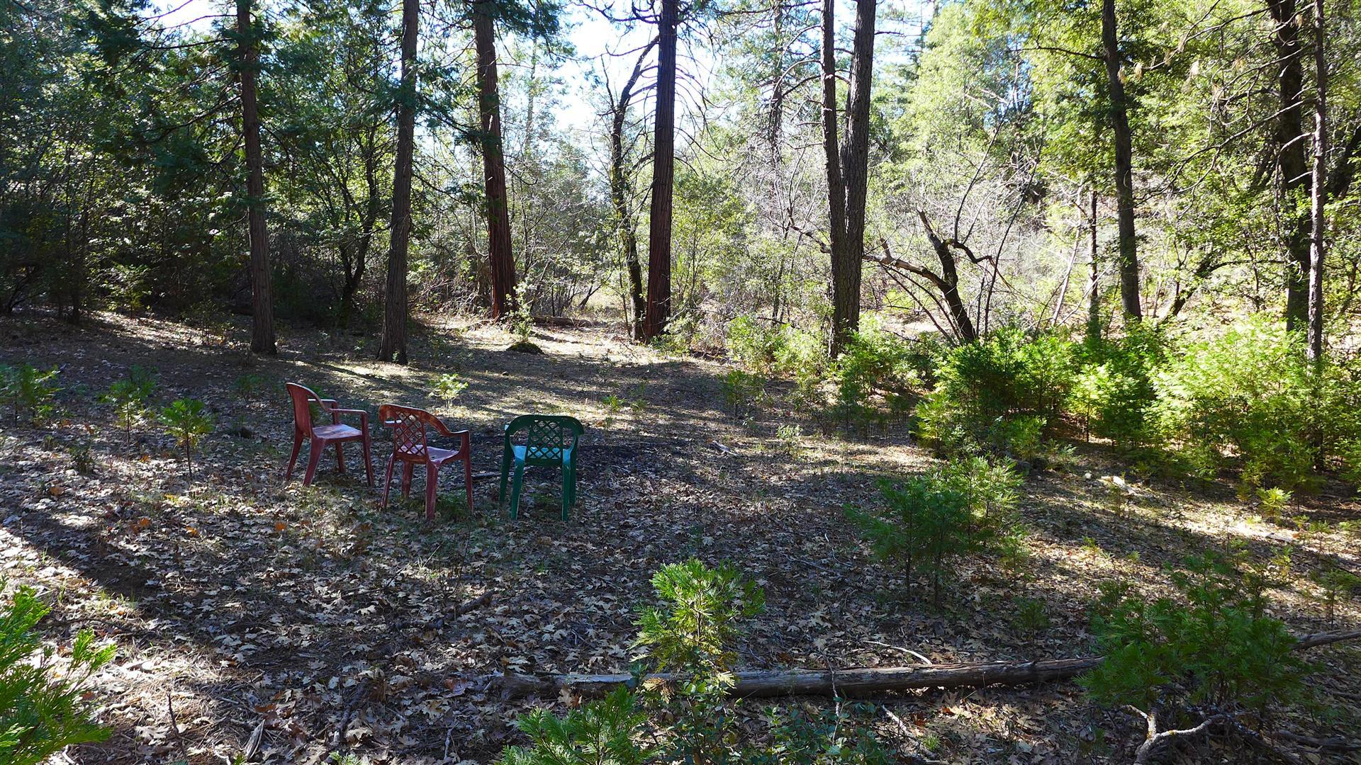 0 Fern Road Whitmore, CA 96096 - Photo 15 of 17 a view of a wooden bench sitting in middle of the forest