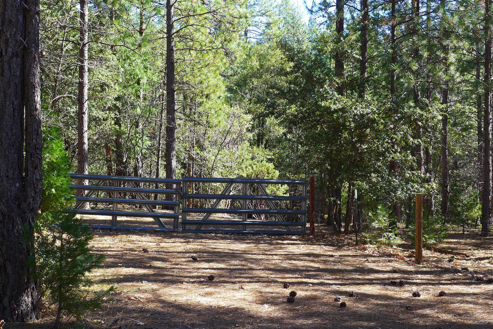 0 Fern Road Whitmore, CA 96096 - Photo 17 of 17 a view of a yard with plants and trees