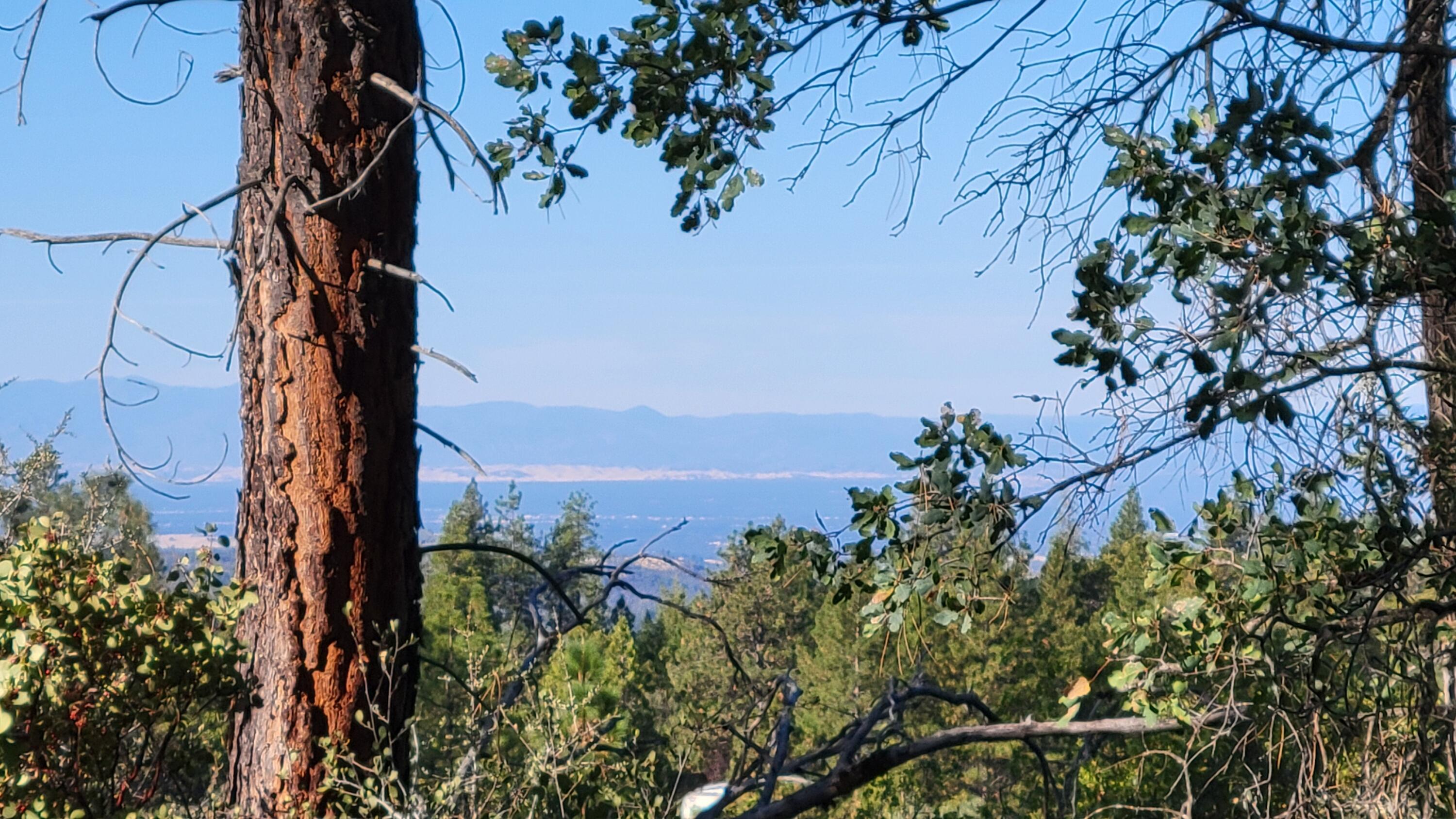 0 Fern Road Whitmore, CA 96096 - Photo 4 of 17 a view of a city