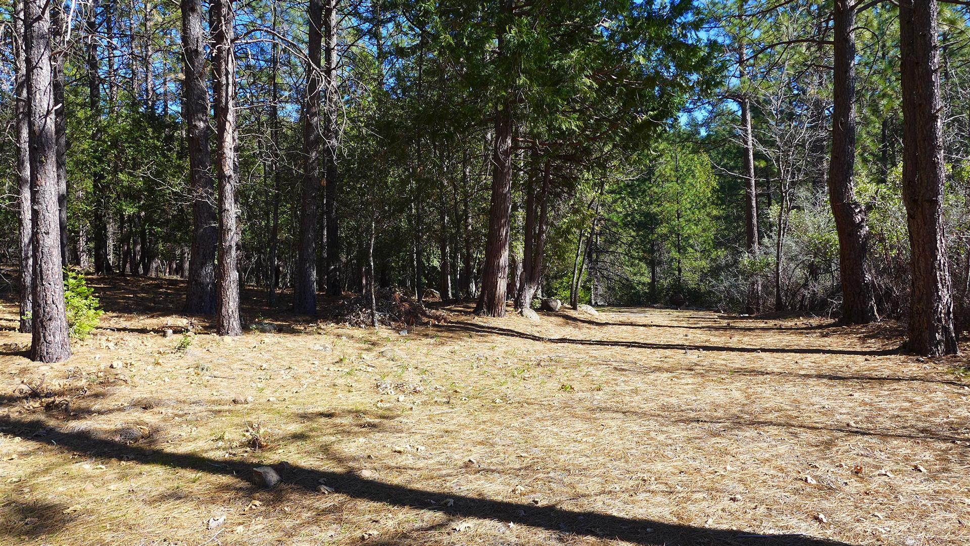 0 Fern Road Whitmore, CA 96096 - Photo 8 of 17 a view of a yard with snow on the road