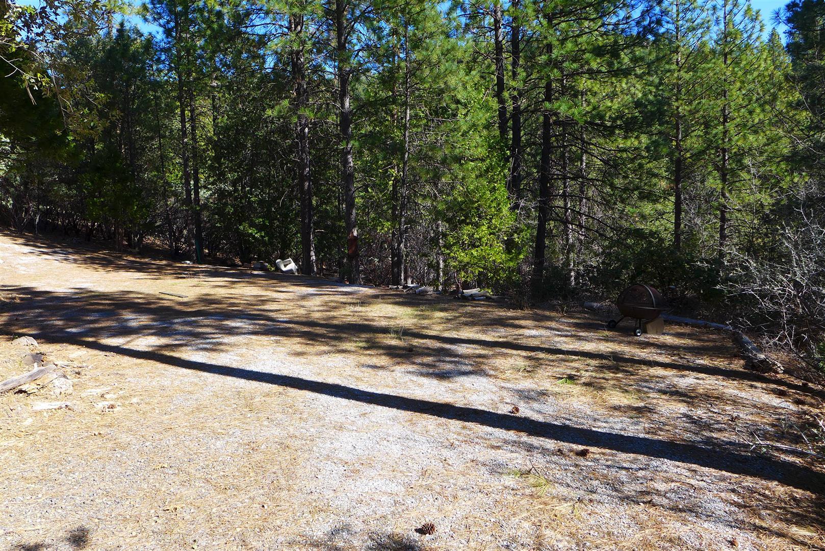 0 Fern Road Whitmore, CA 96096 - Photo 9 of 17 a view of a backyard of a house