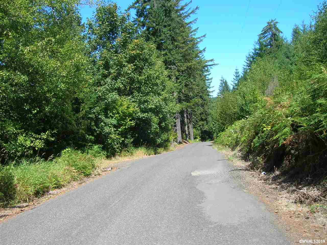 Mollenhour ( 2) Road Scappoose, OR 97056 - Photo 3 of 5