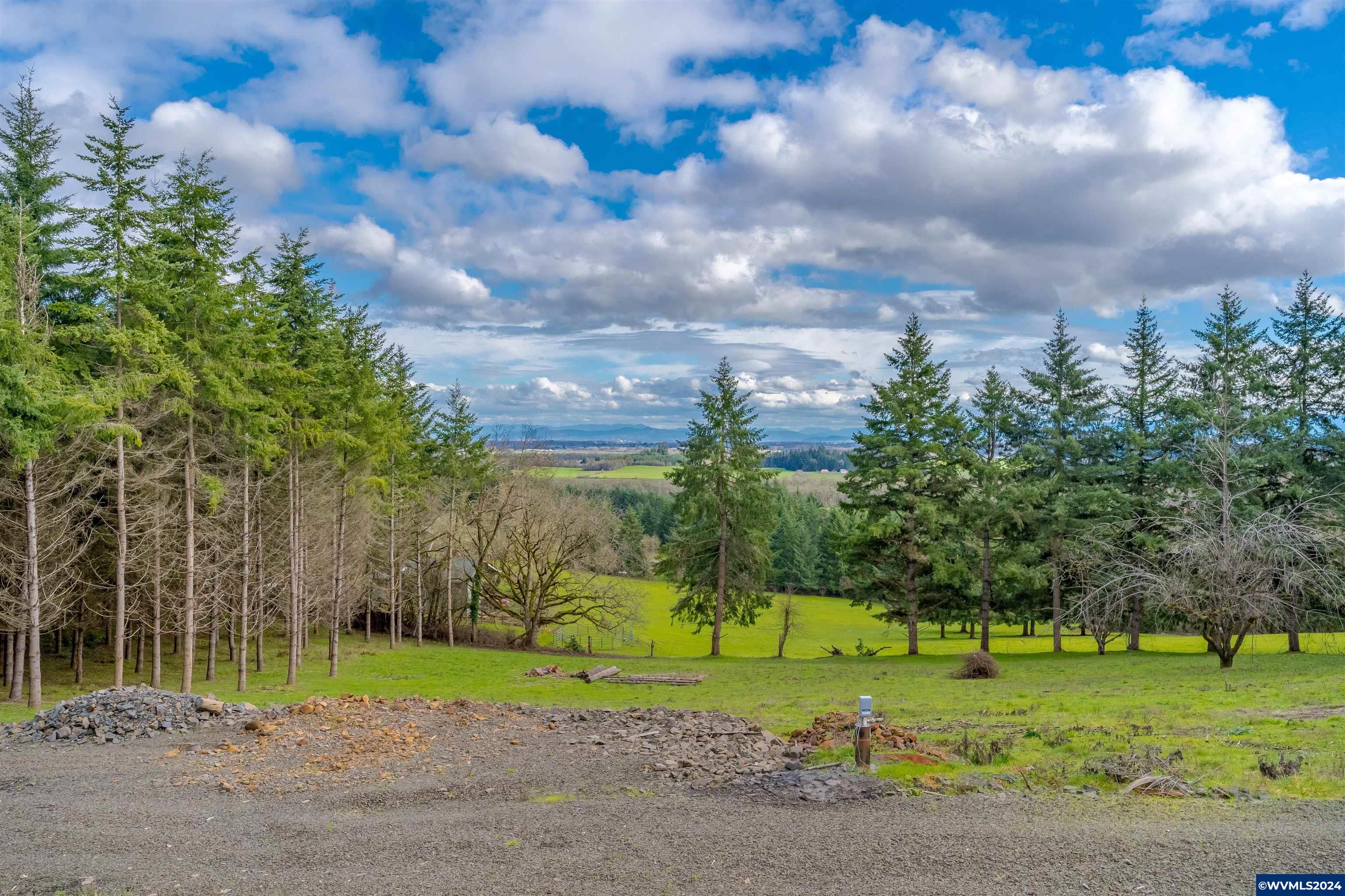 Larson (ta R421034) Road Monroe, OR 97456 - Photo 8 of 30