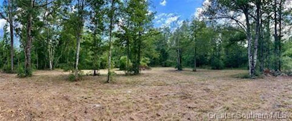0 McBride Road Deridder, LA 70634 - Photo 3 of 7 Gallery Image 3