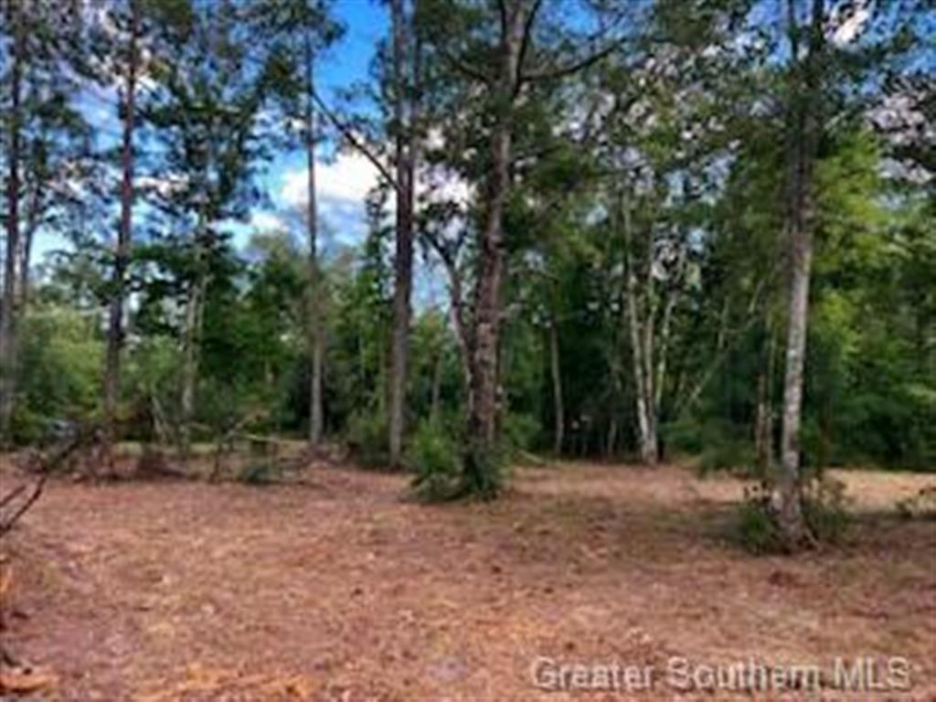 0 McBride Road Deridder, LA 70634 - Photo 4 of 7 Gallery Image 4