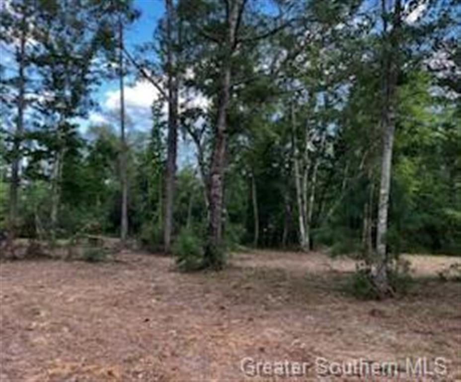 0 McBride Road Deridder, LA 70634 - Photo 5 of 7 Gallery Image 5