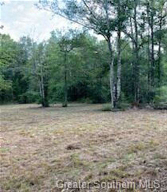 0 McBride Road Deridder, LA 70634 - Photo 6 of 7 Gallery Image 6