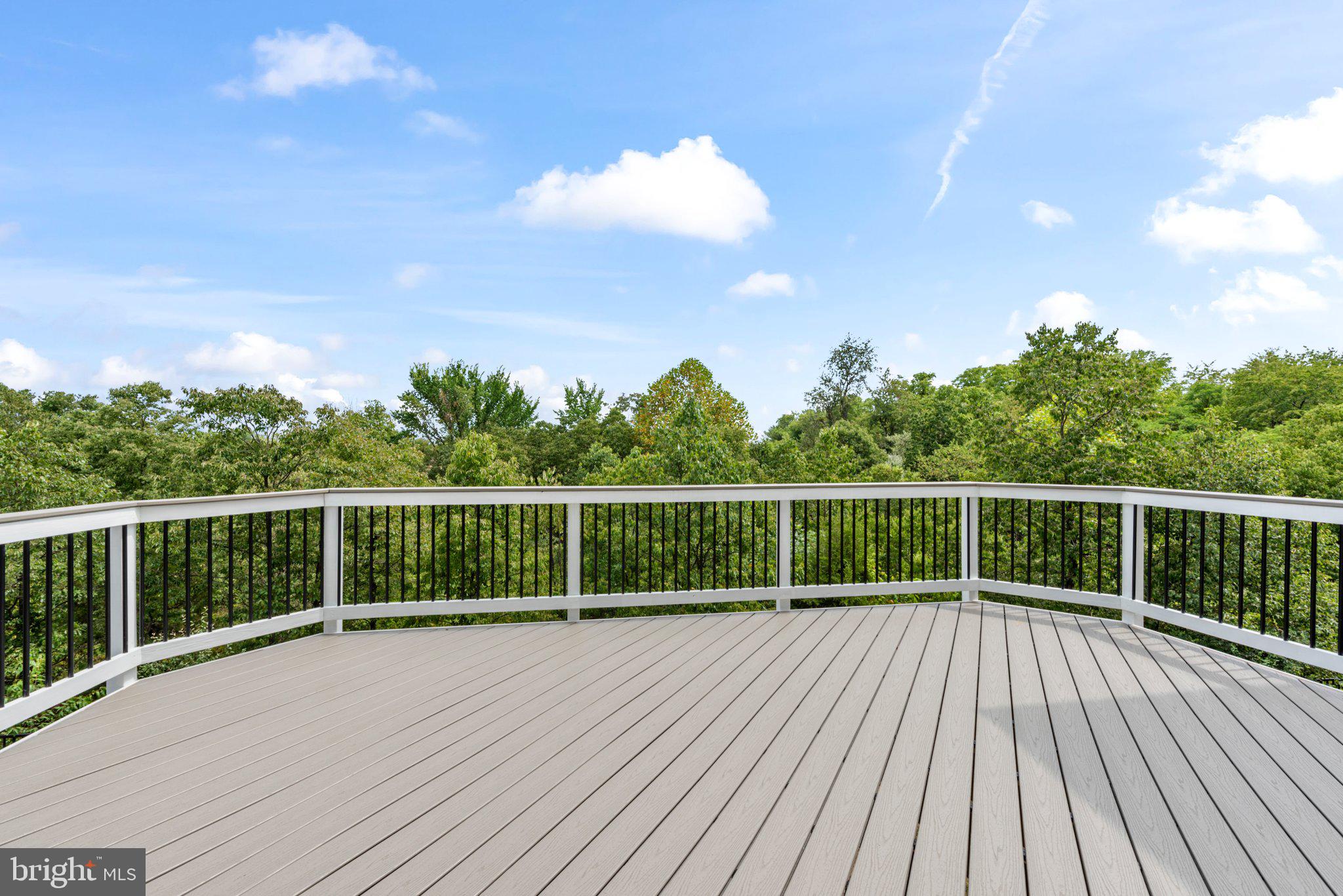 106 Splendor Garden Way Stephenson, VA 22656 - Photo 2 of 31 Large deck off Living Room. Private view of trees.