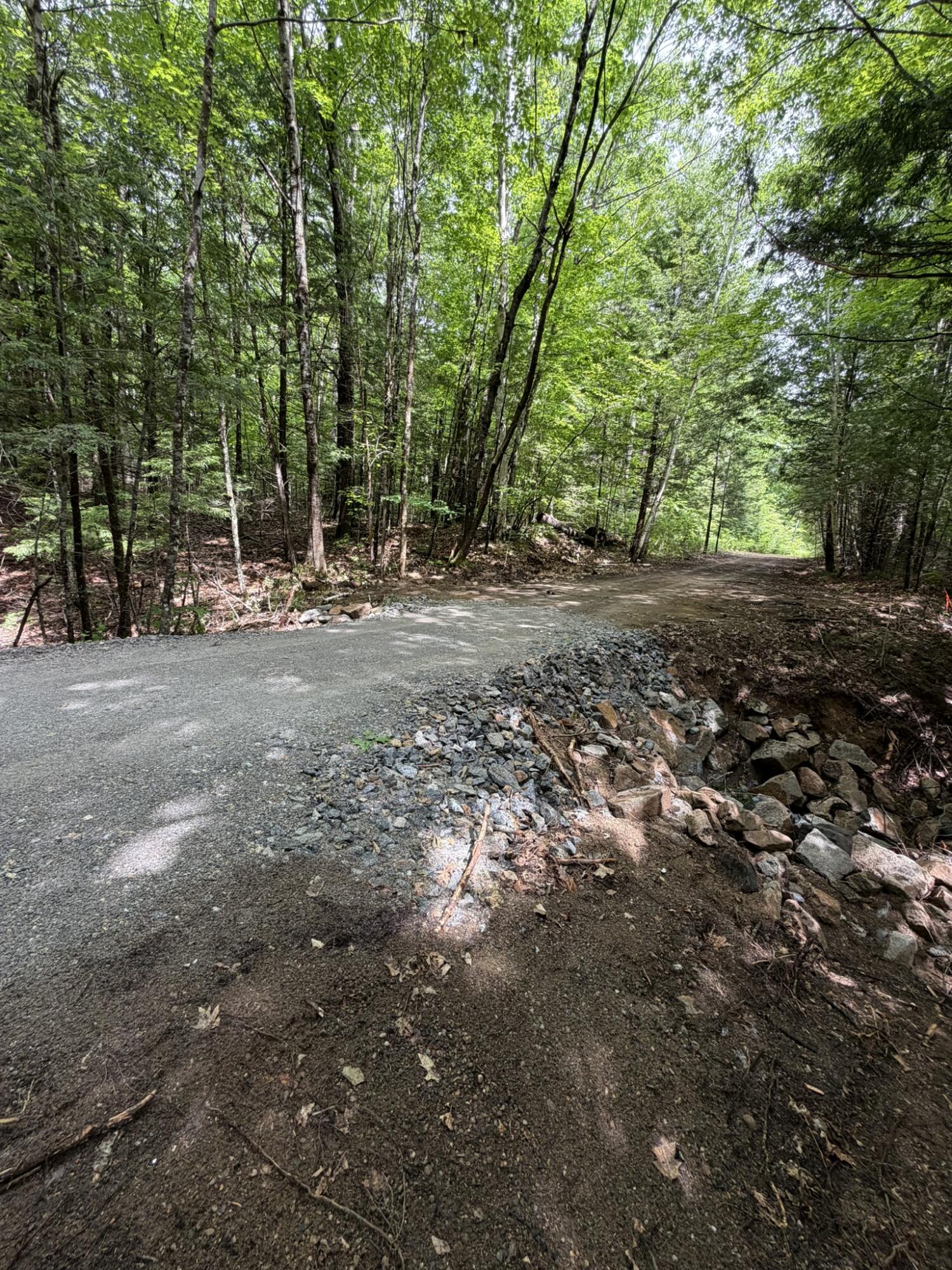 Lot 44 Rolfe Road Harrison, ME 04040 - Photo 6 of 21 IMG_1101