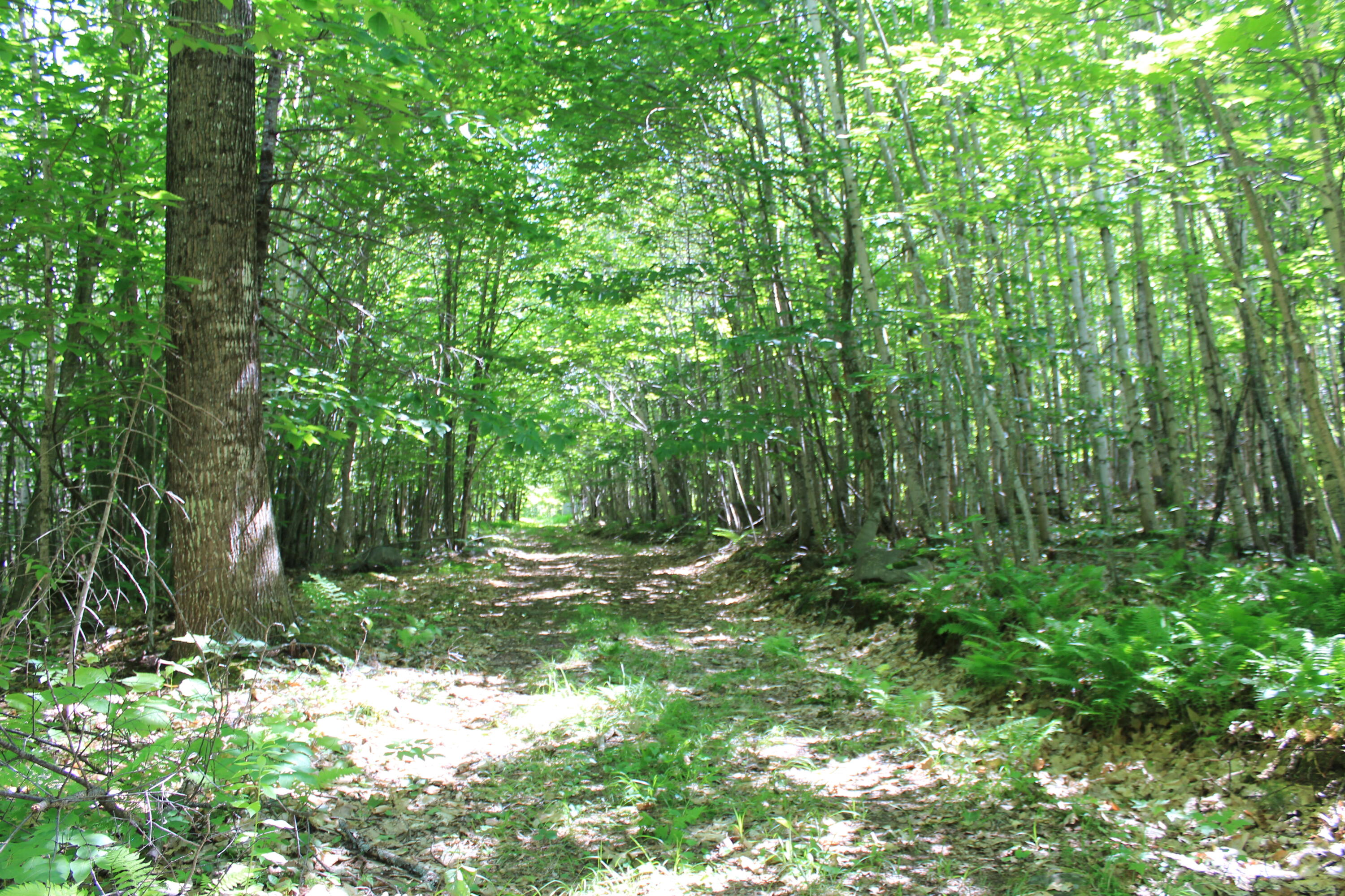 0 Mooers Road Milo, ME 04463 - Photo 15 of 19 trails