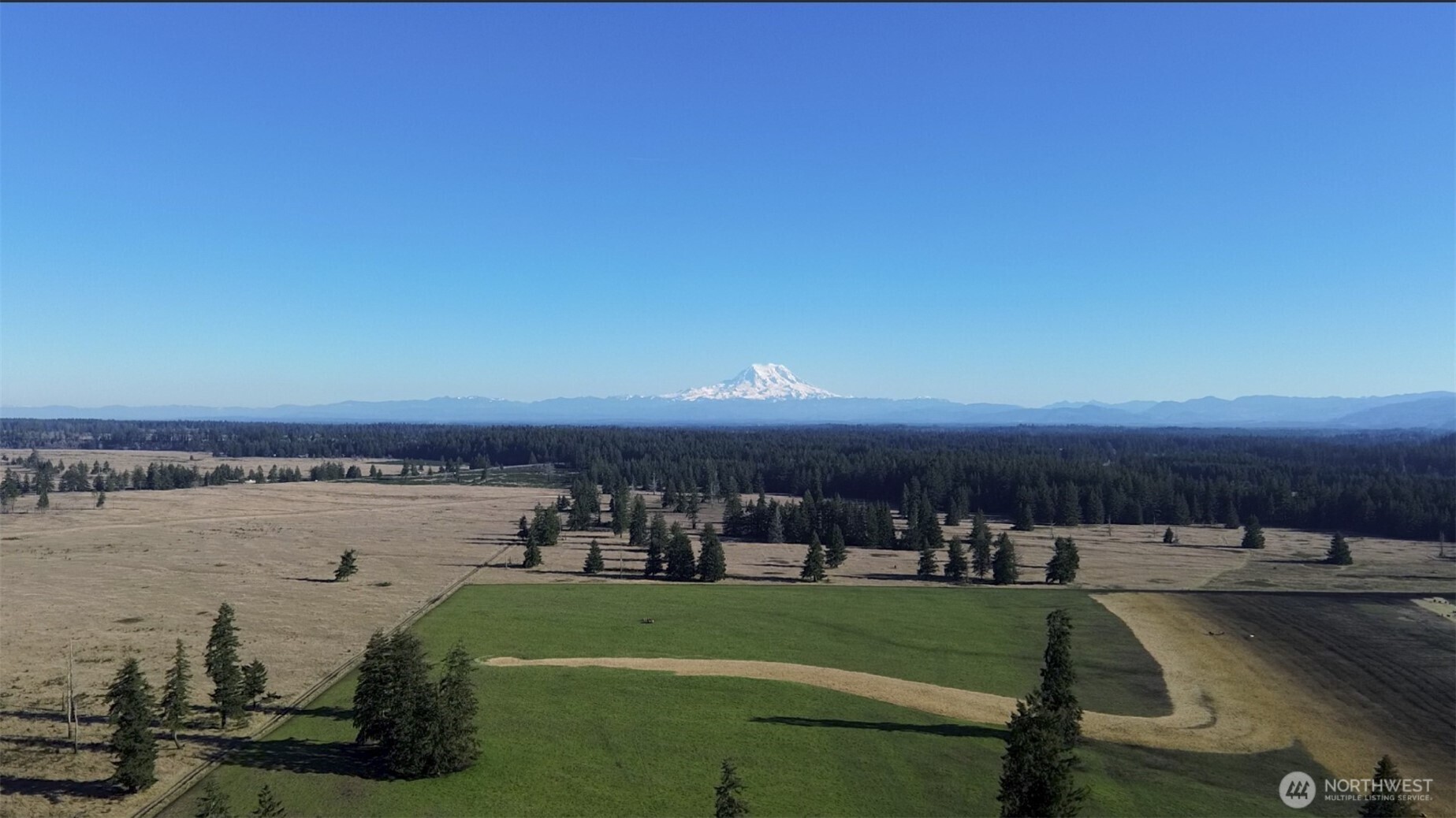 13911 Military Road Southeast Tenino, WA 98589 - Photo 14 of 14