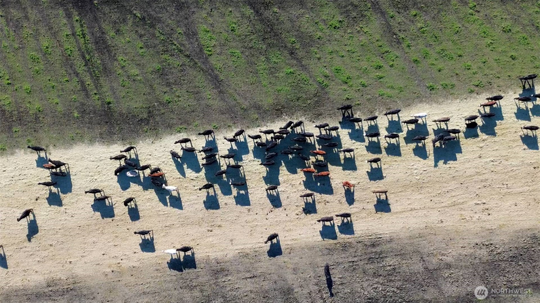 13911 Military Road Southeast Tenino, WA 98589 - Photo 4 of 14