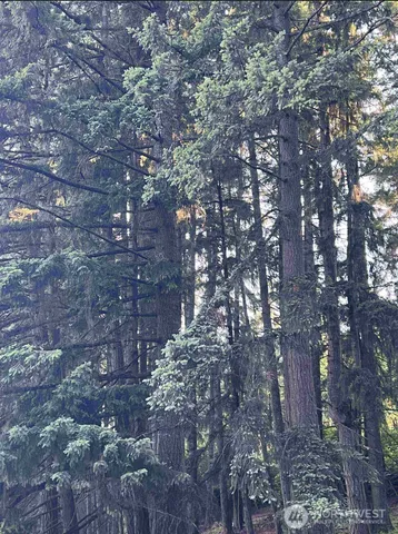 $49,995,000 | 13911 Military Road Southeast, Tenino, WA 98589