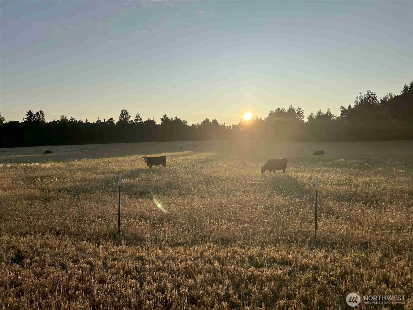 13911 Military Road Southeast Tenino, WA 98589 - Photo 7 of 14