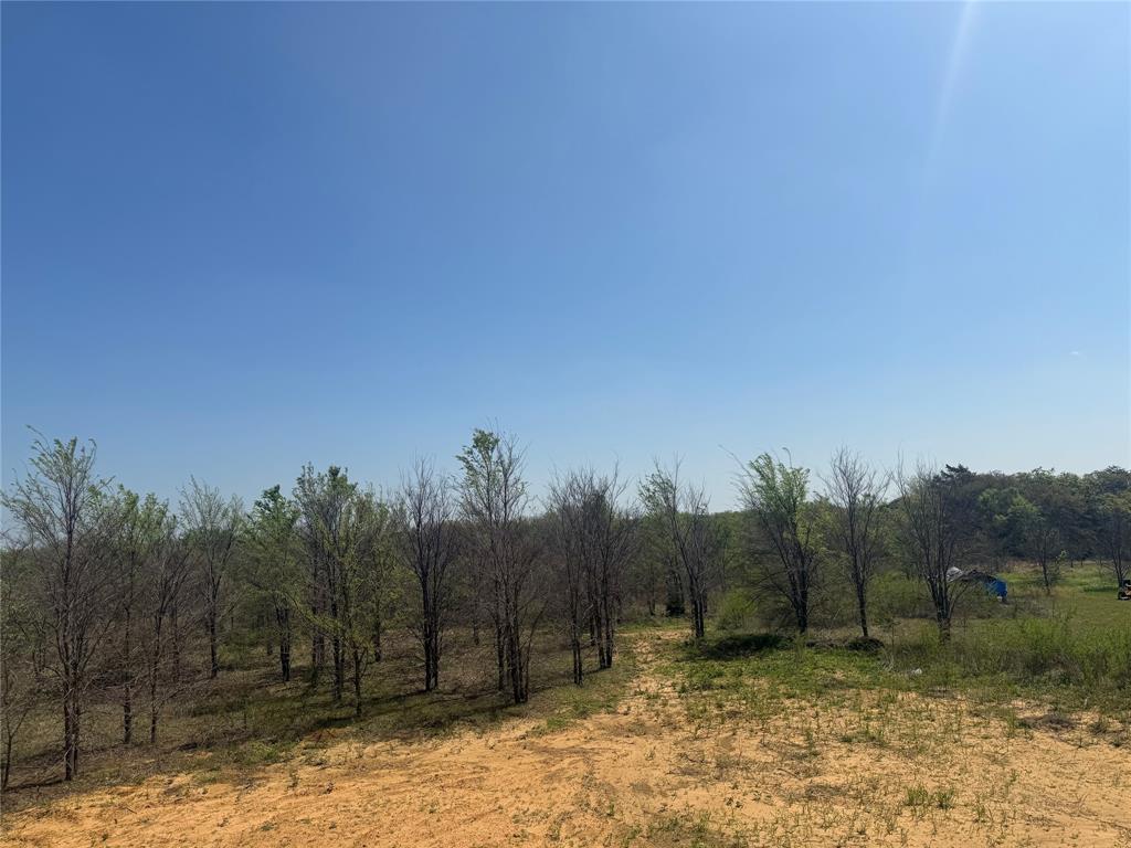 358 Reast Road Whitesboro, TX 76273 - Photo 6 of 7 backyard