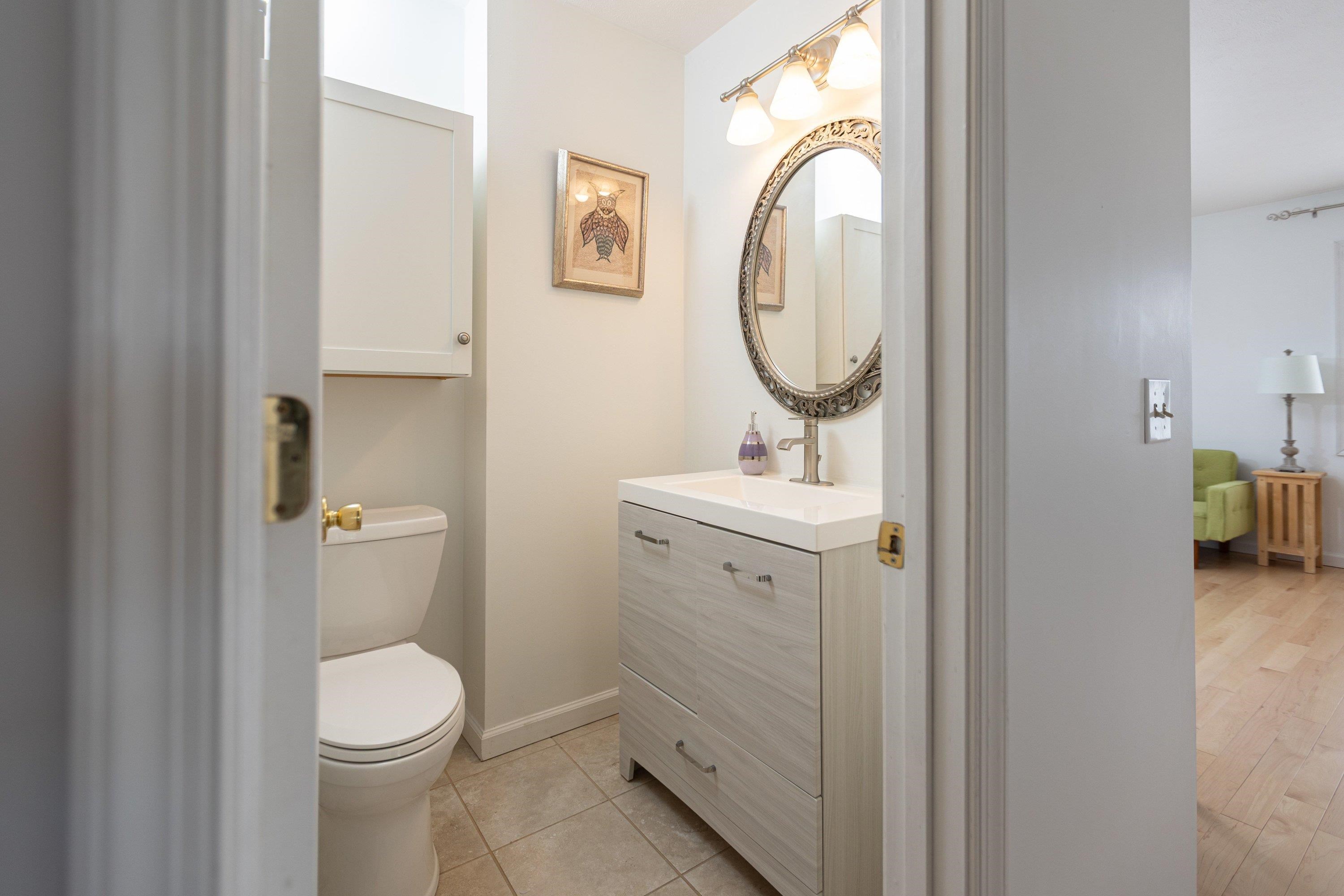536 Three Leagues Road McGaheysville, VA 22840 - Photo 16 of 71 a bathroom with a toilet a sink and a mirror