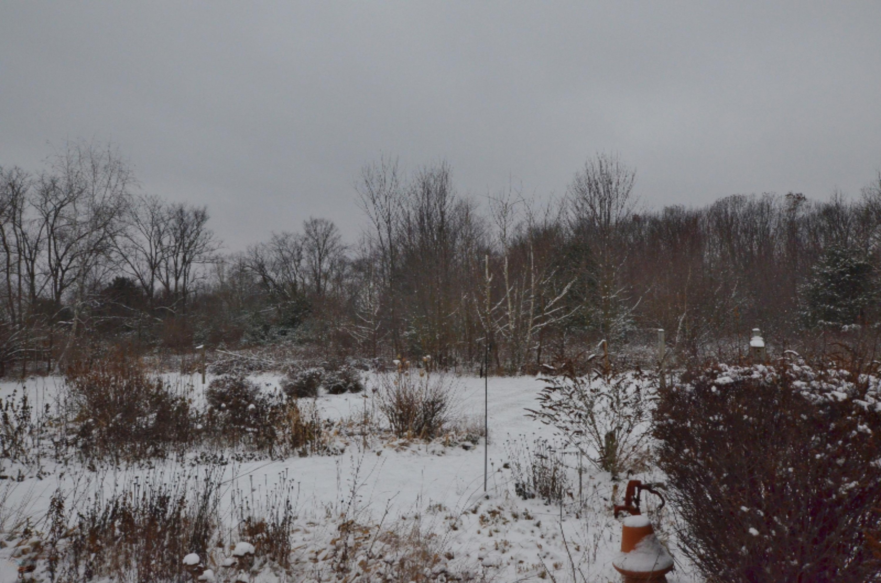 1226 Johnson Road Gowen, MI 49326 - Photo 31 of 33 DSC_0050